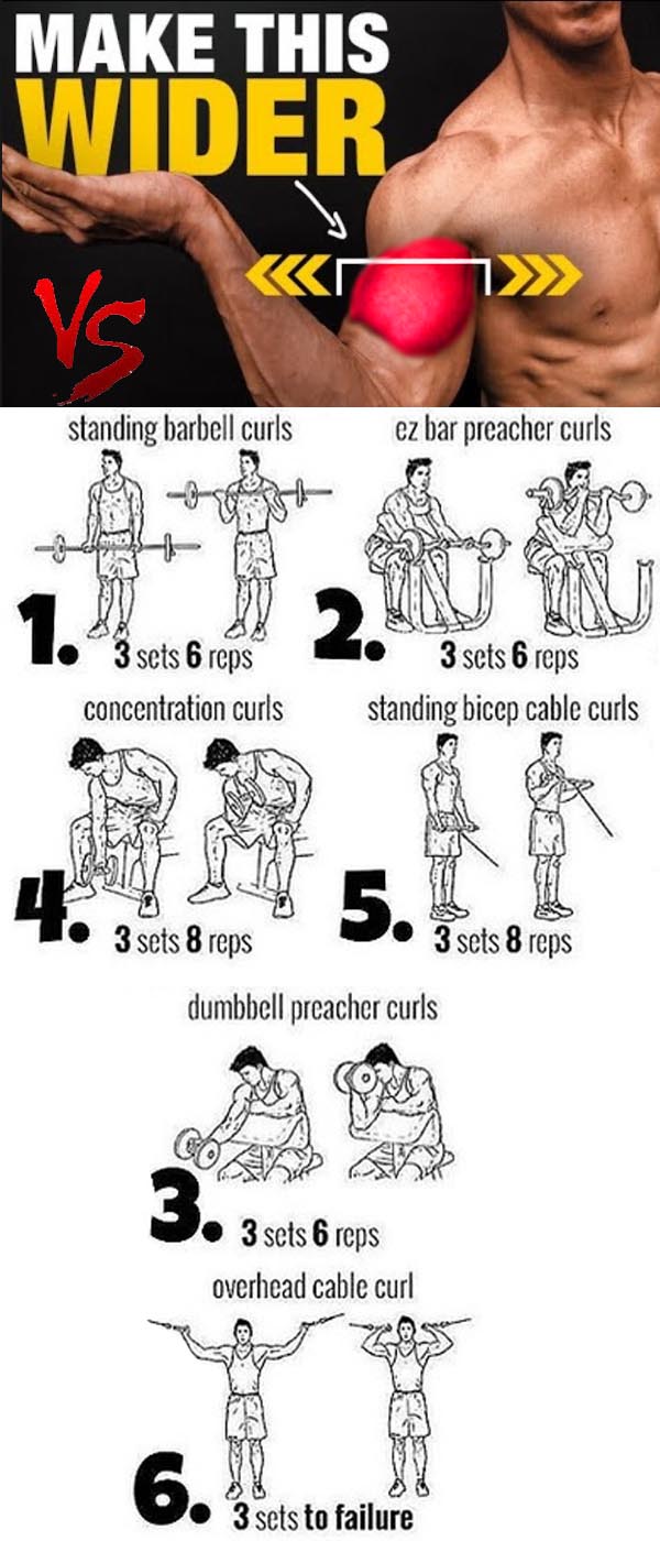 Make Biceps Wider