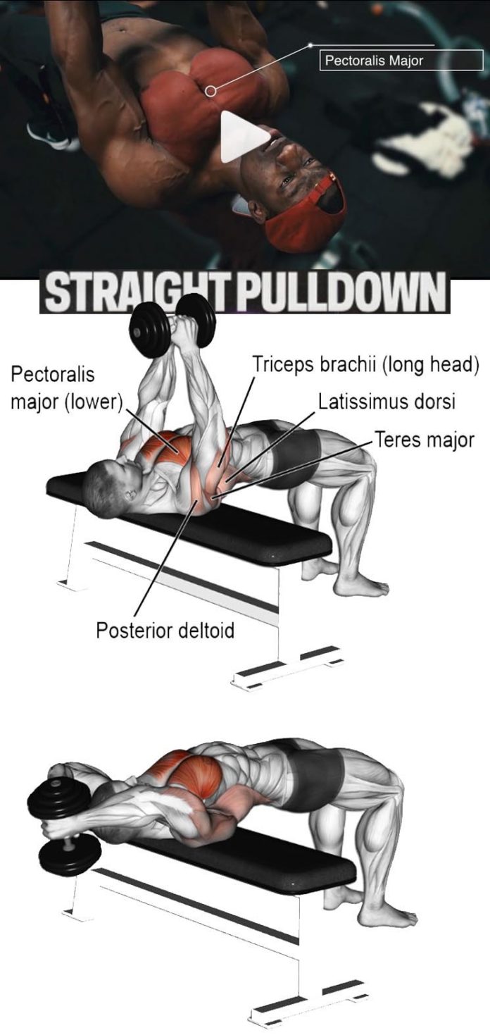 StraightArm Dumbbell Pullover Video & Guide