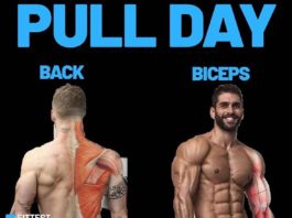 🚨PULL HYPERTROPHY DAY | GUIDE
