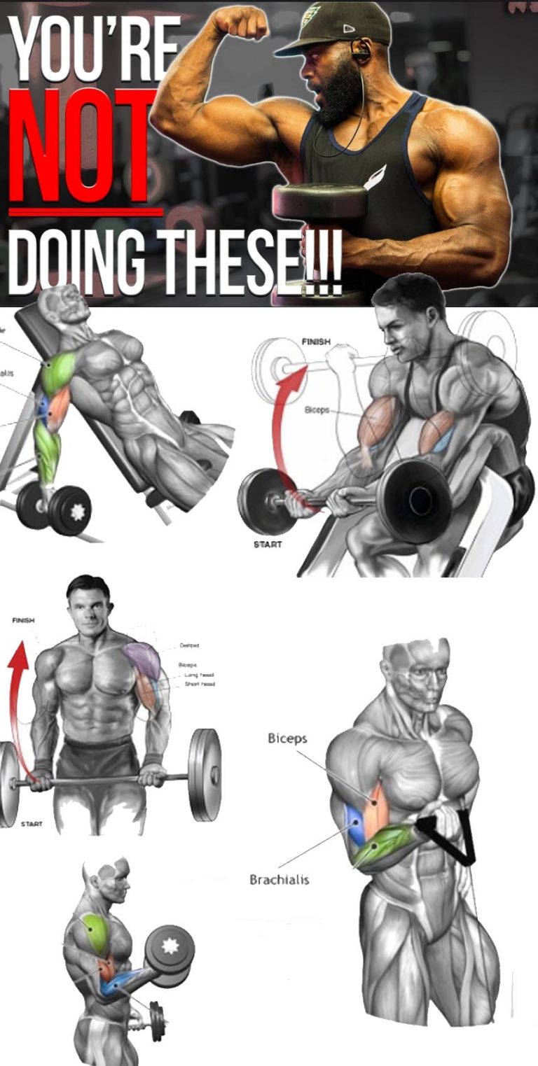 HOW TO BICEPS EXERCISES | GUIDE