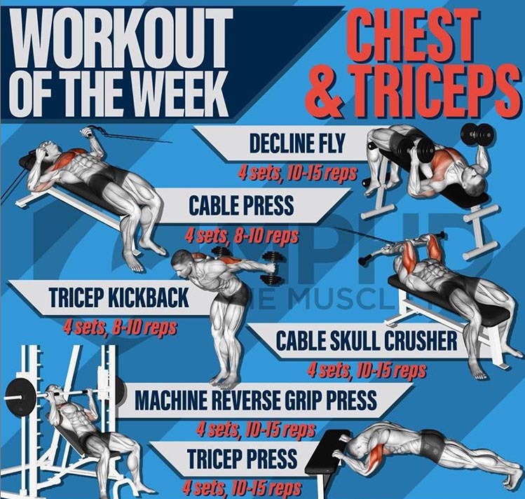 Workout on the Week | Chest & Triceps 
