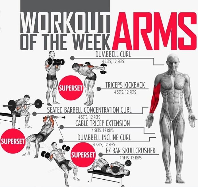 Workout on the Week | Chest & Triceps