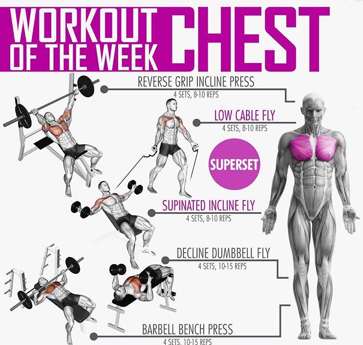 Workout Chest of the Week