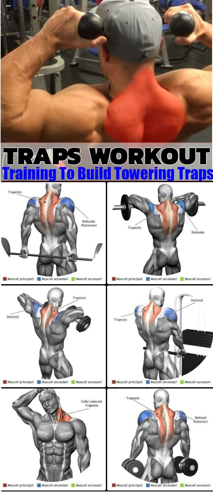 Traps Workout