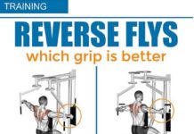 🔴How to Reverse Fly | Guide