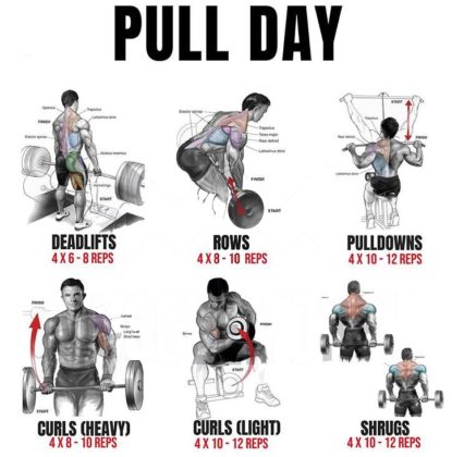 HOW TO PUSH DAY & PULL DAY