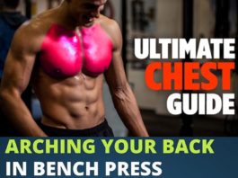 🔥How to Back in the Bench Press | Picture & Guide