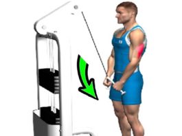 🔥TRICEP PUSHDOWN & GUIDE