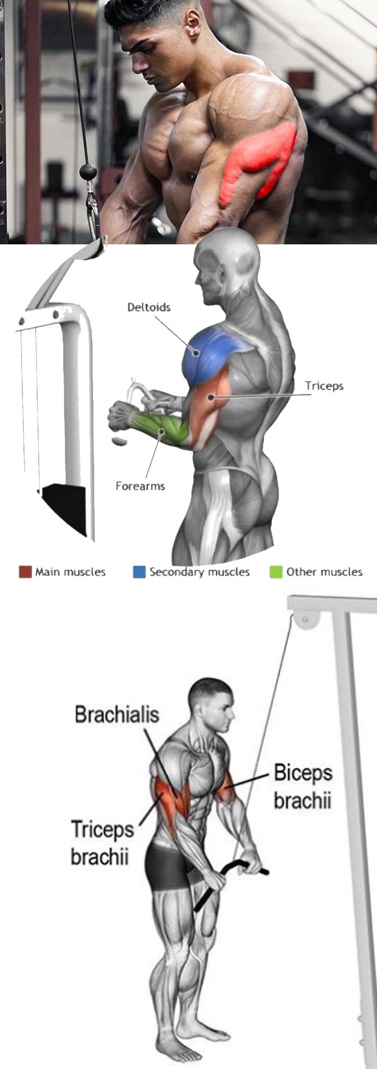 HOW TO TRICEP PUSHDOWN