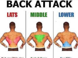 🚨BACK EXERCISES TUTORIAL | GUIDE