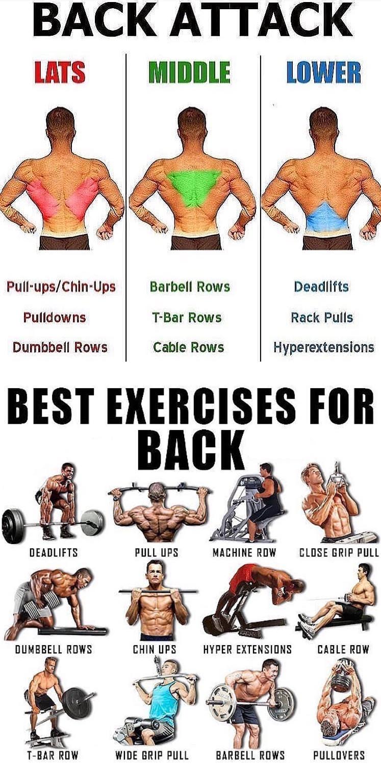 BACK EXERCISES TUTORIAL GUIDE