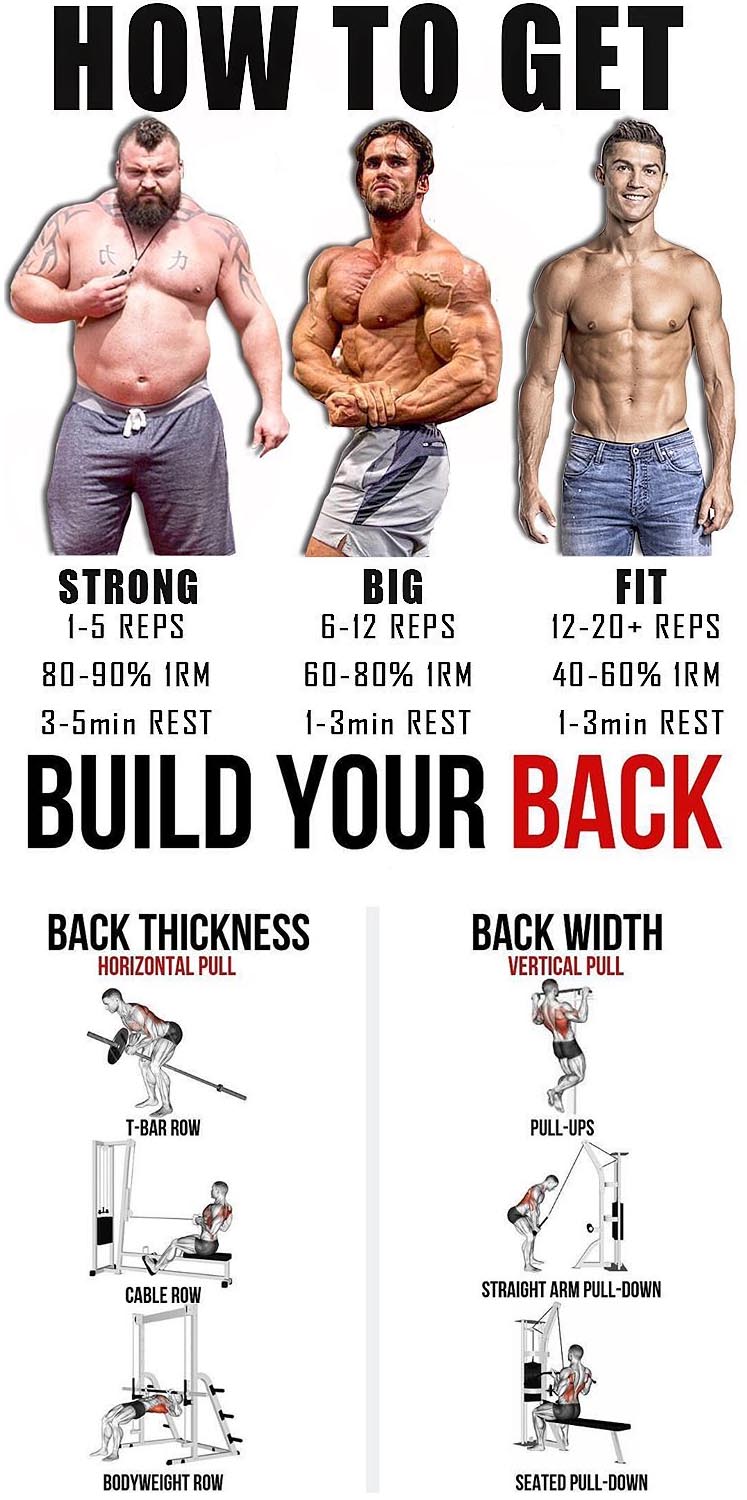 BACK EXERCISES TUTORIAL | GUIDE