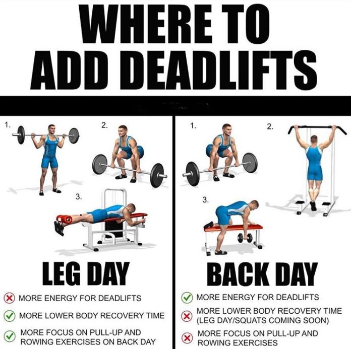 LEG DAY & BACK DAY TUTORIAL GUIDE
