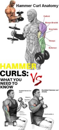 How to Hammer Curls | Video & Guide