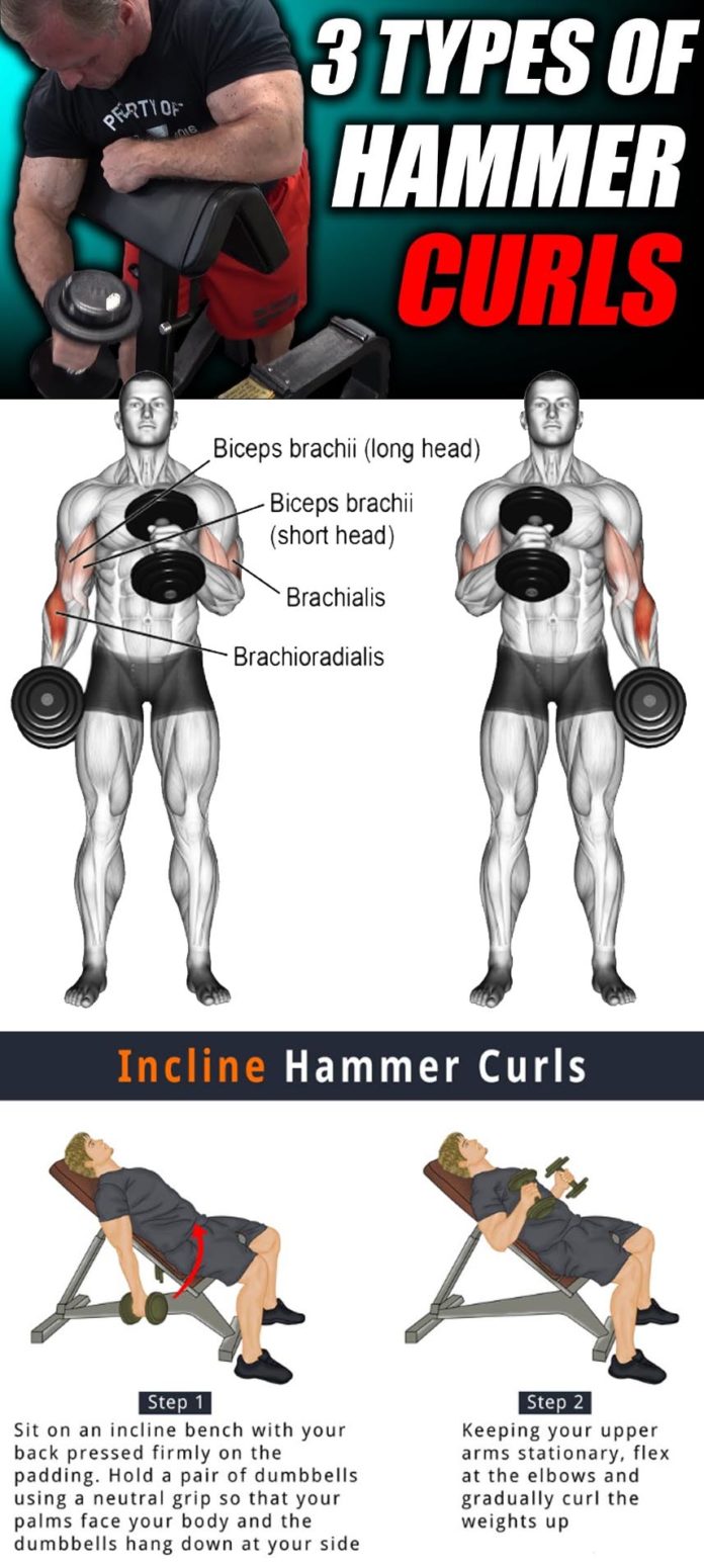 How to Hammer Curls Video & Guide