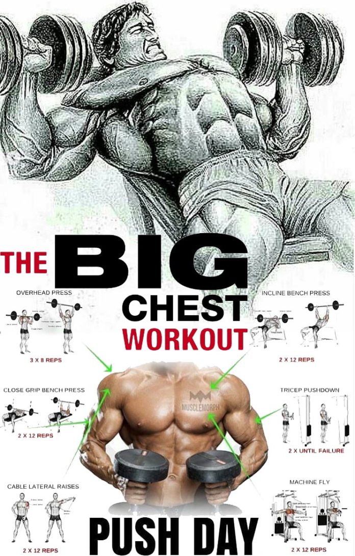 Full Chest Development Guide