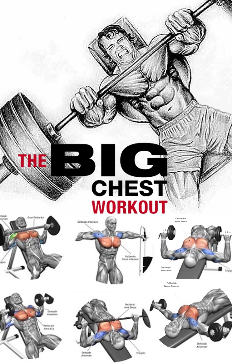 Chest Workout