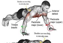 The Best 3 Variation Pushup Executing, Tips, Benefits How to Push ups Executing