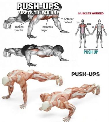 The Best 3 Variation Pushup Executing, Tips, Benefits | Exercises & Guide