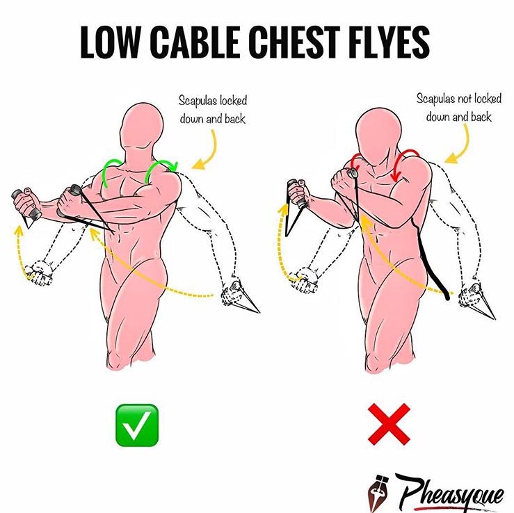 LOW CABLE CHEST FLYES