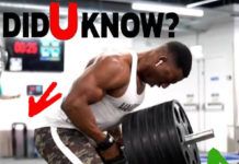 🚨Top 3 Favourite Back Exercises 👇| Video & Guide