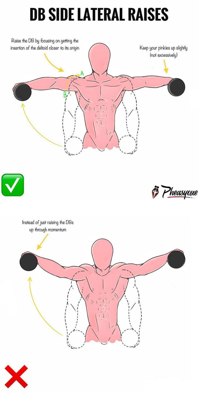 How To Db Side Lateral Raises