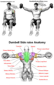 HOW TO DB SIDE LATERAL RAISES