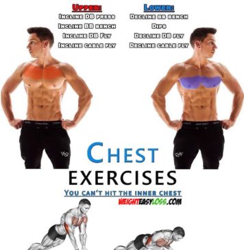 🔥HOW TO WORKOUT ON UPPER & LOWER CHEST