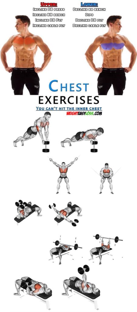 HOW TO WORKOUT ON UPPER & LOWER CHEST