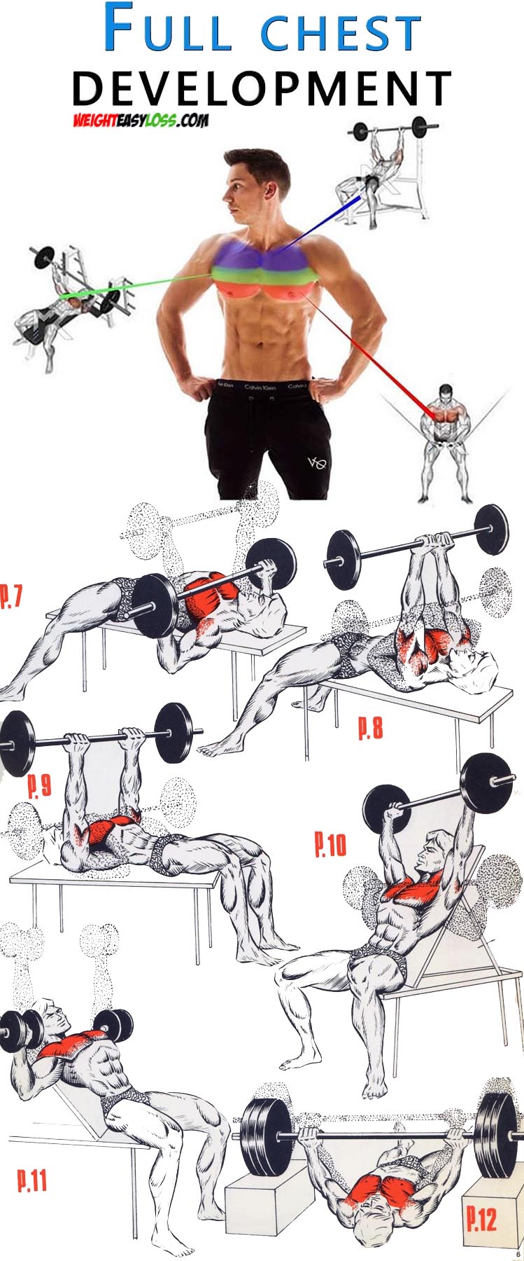 HOW TO WORKOUT ON UPPER & LOWER CHEST