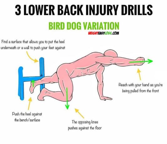 🚨STEFI’s LOW BACK PAIN DRILLS