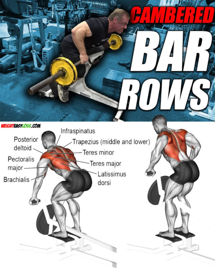 PENDLAY ROW: HOW TO TARGET DIFFERENT MUSCLES