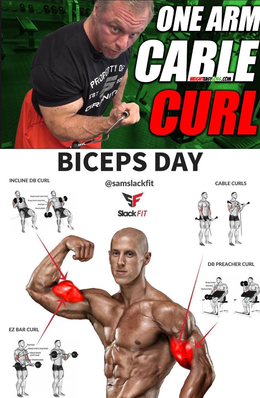 Biceps Workout | One Arm Cable Curl