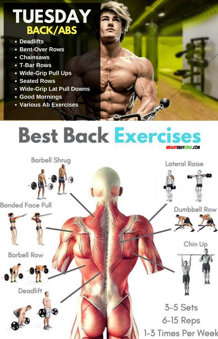 Back Day Exercises