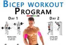 Biceps Curl Workout Program