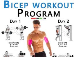 Biceps Curl Workout Program