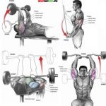 Triceps Workout Guide