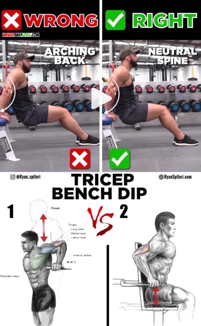 3 TRICEPS EXERCISES VIDEO & GUIDE