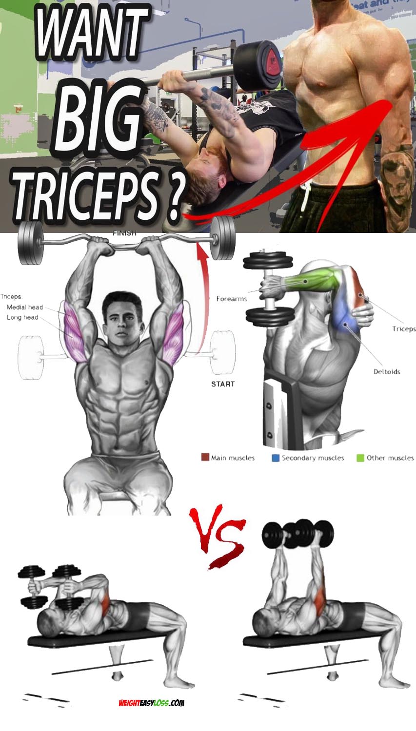 Triceps overhead extensions