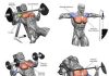 Chest Guide