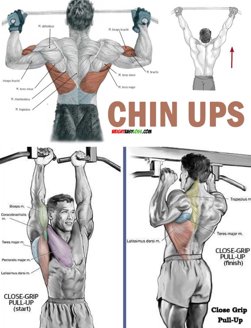 Do Pull Ups Help With Pushups At Kelley Gibson Blog