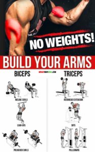 Build Your Arms | Guide