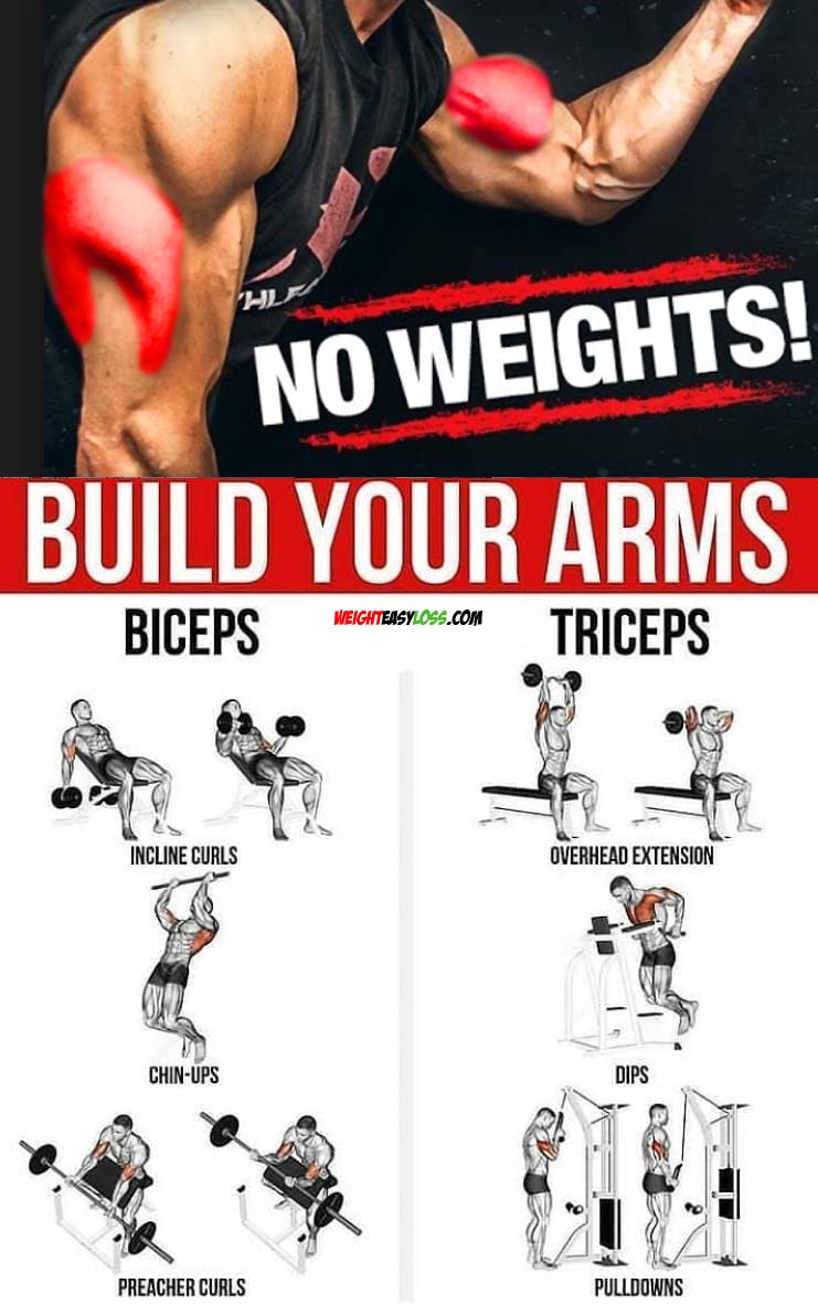 Build Your Arms