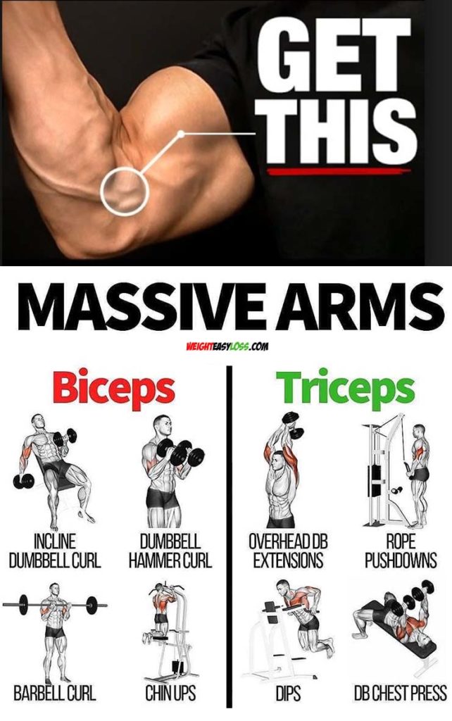 Build Your Arms | Guide