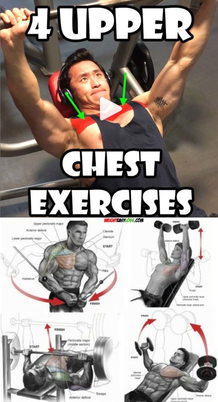 Simple Chest Exercises Without Weights Reddit for Build Muscle