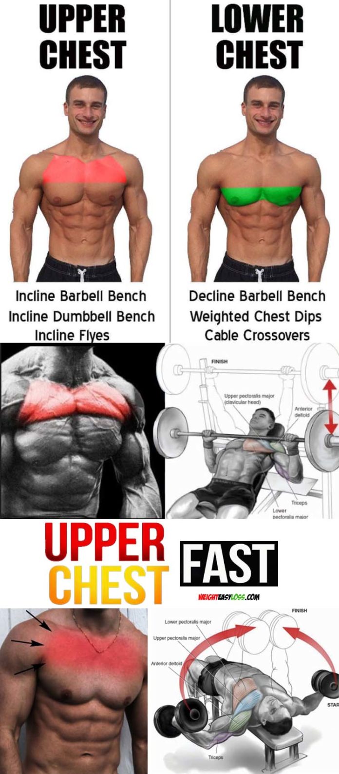 UPPER CHEST TUTORIAL | VIDEO & GUIDE