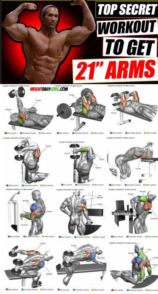 TRICEPS WORKOUT & GUIDE