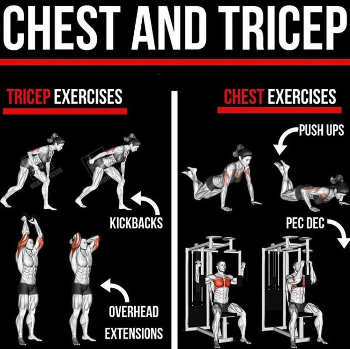 Simple Tricep Exercises With Dumbbells Names for Burn Fat fast