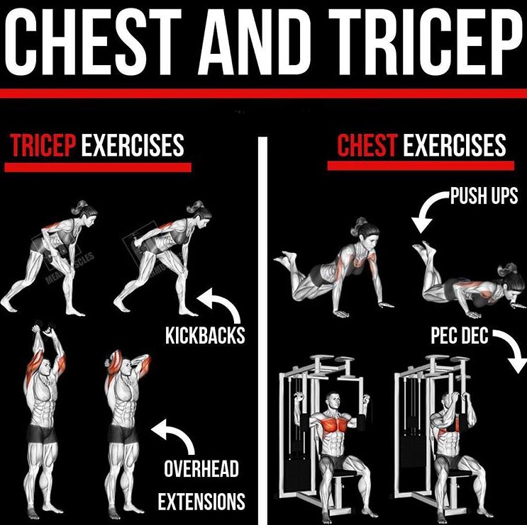 I only used them for less than a month. chest and tricep workout These are ...