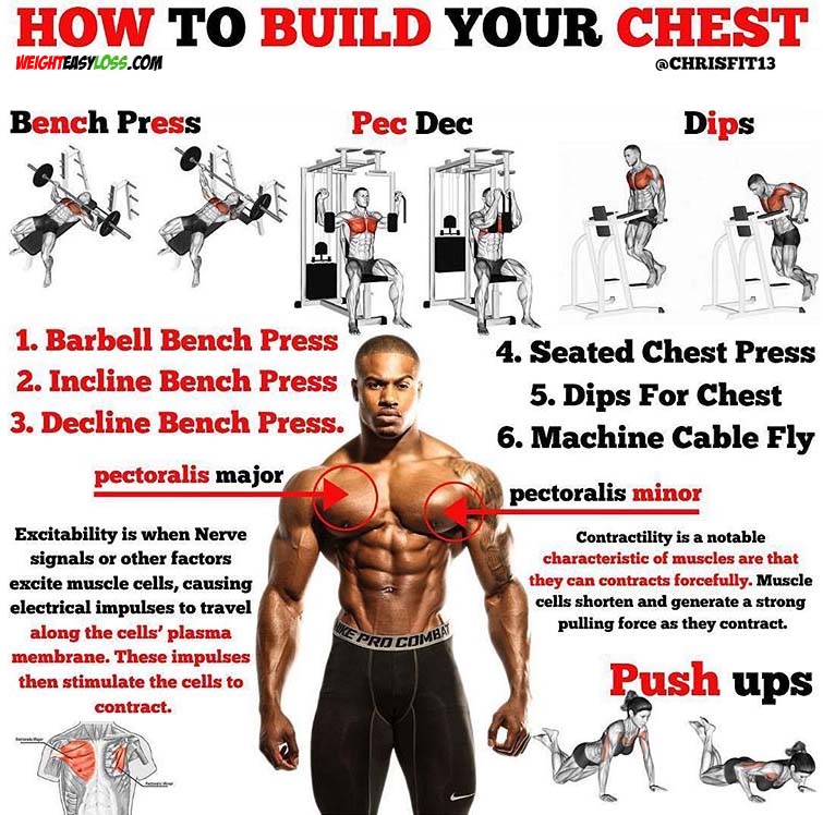 How to Build Your Chest